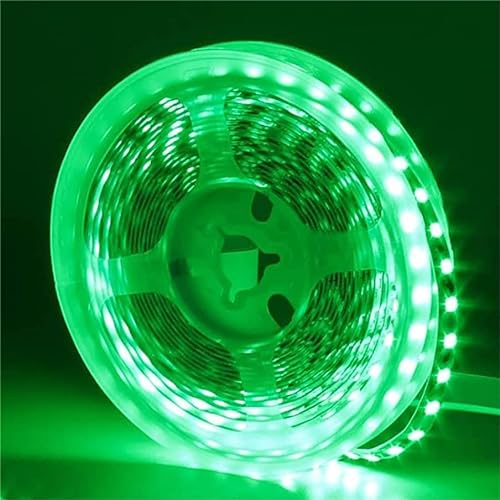 iNextStation LED Strip Grün 5M, 12V Selbstklebend LED Streifen 300 SMD5050 LEDs Flexible LED Lichtband Kette LED Lichtband Leiste für Innen Heim Küche Deko DIY, Kein Netzteil/Stecker