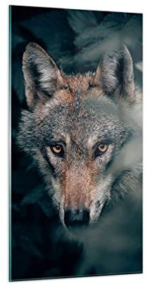 ARTTOR Bilder auf Glas 55x100 cm Wandbild Glasdruck Tiere - 5053