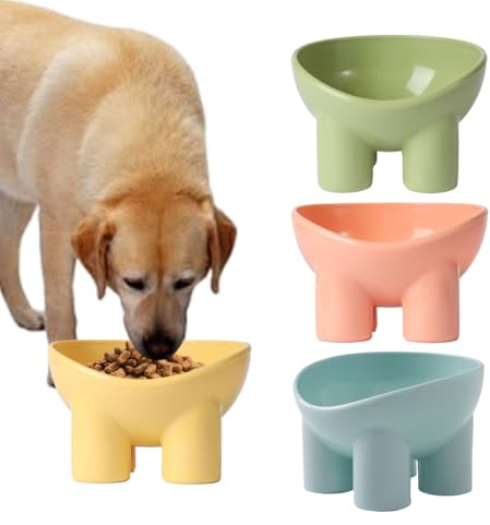 s Inclinados Elevados Para Gatos Bandeja De Snack Elevada, Antideslizante E | s Para Gatos Apto Y Bebedero Perros Mascotas Snacks Fruta Agua
