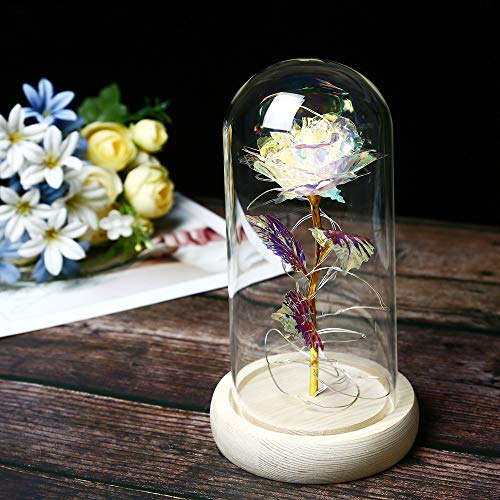 TYXSHIYE 2m/6.6ft 20 LED Lichterkette Warmweiß Künstliche Rose im Glas, Bunt Rose mit Glas Lampenschirm, AAA Batteriebetrieben Glaskuppel Rose für Hochzeitstag Muttertag Valentinstag Weihnachten