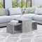 Homiuse Ensemble de Tables Basses Gris Béton 100x48x40 cm - Table de Salon en Aggloméré - Tables Gigognes Rondes