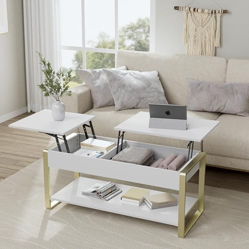 Mesa de Centro Elevable con Estante de Almacenamiento y Compartimento Oculto, Mesa de Café Mesa Elevable Moderna para Sala de Estar, Mesa Baja con Tablero de Mesa Elevable Doble Mesa Auxiliar