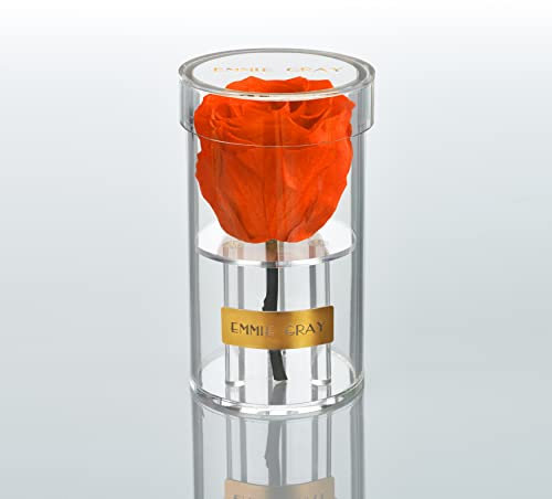EG EMMIE GRAY Crystal Infinity | Acryl | – Traumhafte Infinity Rose, 1-3 Jahre haltbare Rose, Acrylgefäß mit echter, konservierter Rose, edle Premiumrose (Orange Flame)