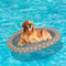 Ginkago Colchoneta Piscina Perro Inflable de Mascota Flotador de la Piscina del Animal Flotadores en Piscina de Perros Juguetes Mascotas