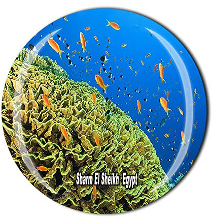 Sharm El Sheikh Egypt Fridge Magnet Crystal Tourist Souvenir Gift Collection Refrigerator Magnetic Sticker