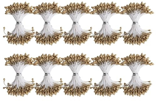 Cyrank Gold Doppelköpfe Blume Staubblatt, Goldener Gips Blumenstrauß Dekoration Handwerk Materialien Weihnachten Hochzeit Geschenkbox Kränze Dekor(3mm(900pcs))