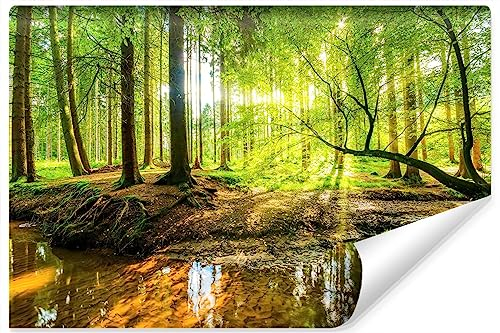 Muralo - 3D Tapete Wald bei Tagesanbruch Vliestapete - Fototapete 3d Effekt - Tapete für Wohnzimmer Schlafzimmer Wandtapete Wald Sonnenstrahlen - Br. 416cm x Hö. 254cm