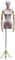 Schneiderpuppe Schneiderpuppe Schneiderpuppe Schneiderpuppe Schneiderpuppe Schneiderpuppe Schneiderpuppe Modell mit Metallsockel Schaufensterregal Schneiderpuppe verstellbar (Farbe: Rosa, Größe: GOL