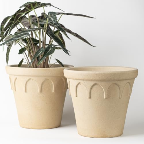 Nipots 2 Pack Terracotta Clay Plant Pots with Drainage, Breathable Water-Absorbing Planters for Healthy Roots, 8 InchDeep Flower Pots for Indoor and Outdoor Gardening, Beige