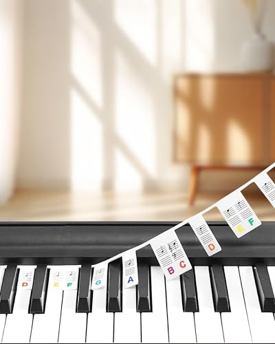 Klavier Tasten Notenhilfe aus Silikon – Abnehmbar & Wiederverwendbar, ohne Kleber – Für Anfänger & Kinder, 61/88 Tasten Keyboard & Piano – Mit Aufbewahrungsbox (Regenbogenfarben)