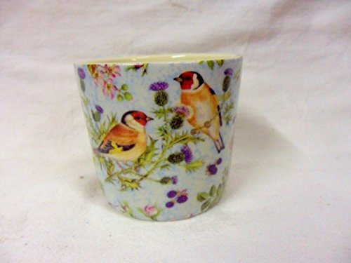 British birds blue small sugar Bowl