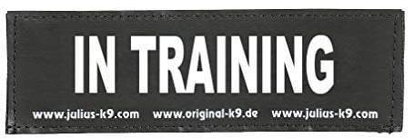Interchangeable Patches, 1 pair, IN TRAINING, Size: Large, Black