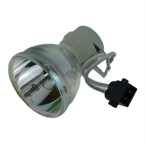 BTsan Projektorlampe BL-FP190A for Opto-ma DS325 DX325 S300 S300+ X300 Projektoren Lampe mit Gehäuse SP.8TK01GC01 Ersatz (Color : BL-FP190A-CB)