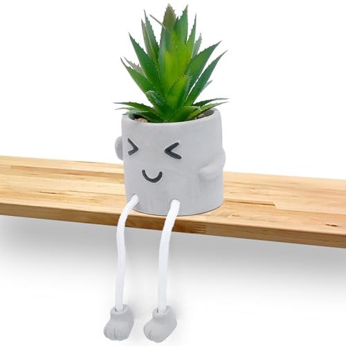 Bakiauli Artificial Plants Indoor, Cute Fake Plants with Hanging Leg Faux Plants Home Decor for House Office Bedroom Living Room Table Desk Shelf (Smile)