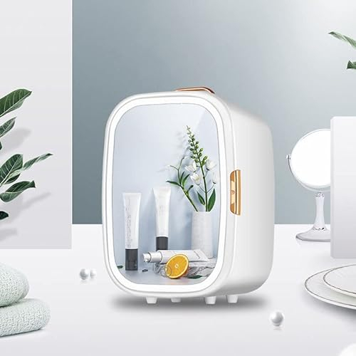 vijian 20L Makeup Fridge, Portable Dorm Fridge, Beauty Cosmetic Fridge, Small Fridge For Bedroom, AC/DC, Car, Bathroom, College Dorm Room