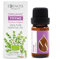 Essences Bulgaria Organic Thyme Essential Oil 10ml | Thymus vulgaris | 100% Pure and Natural | Undiluted | Therapeutic Grade | Family Owned Farm | Steam-Distilled | Non-GMO | Vegan