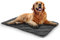 NWK Self Warming Thermal Pet Mat for Dogs and Cats, Body Heat Reflecting Cat Bed Mat, Washable, for Sofa & Crate & Kennel & Car Seat (Black, Large (58cm X 88cm))