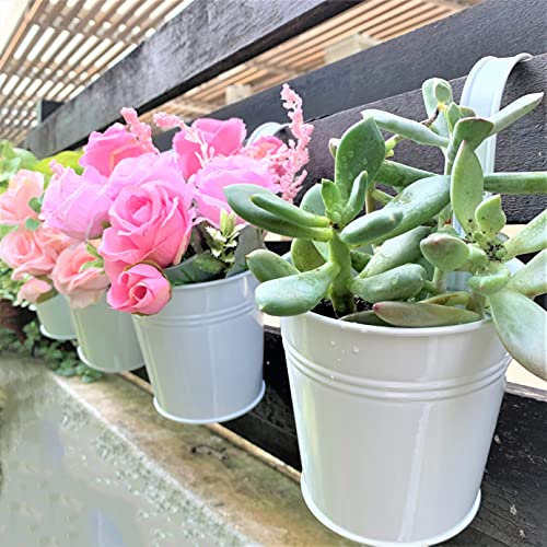 LáLáGreen 15.2 cm Hänge-Übertopf aus Eisen – 10 Stück, weißer großer Metall-Blumentopf über Schiene. Balkongeländer, hängende Eimer für Pflanzen, Zaun, Wand, Kräuter, Garten, Terrasse, Veranda