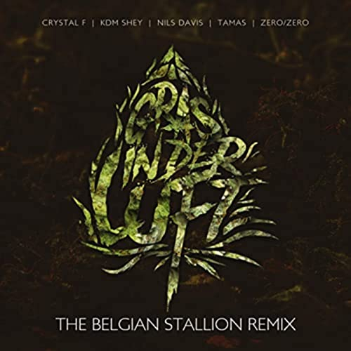 Gras in der Luft (The Belgian Stallion Remix) [Explicit]