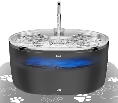 Tyonto Fontaine à Eau Chat en Lnox avec LED 3,2 L/108,2oz Distributeur Silencieux Fontaine Alimentation USB Charbon Actif,Filtration Plusieurs Étapes (Distributeur d'eau, Sliver)