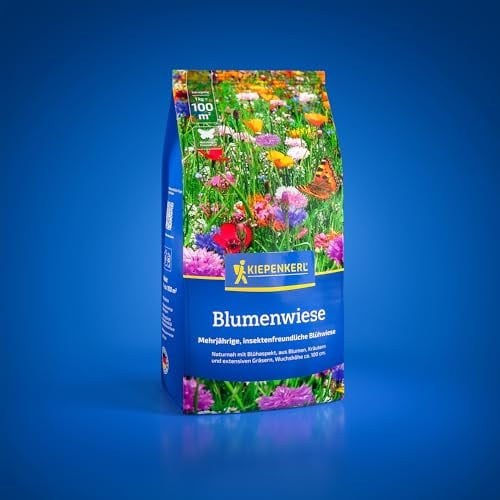 Kiepenkerl Blumenwiese 1085312, Kräutersaat