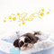 Grandora Wandtattoo Wunschname + Hundepfote Knochen I gelb (BxH) 50 x 15 cm I Flur Wohnzimmer selbstklebend Aufkleber Wandaufkleber Wandsticker W806