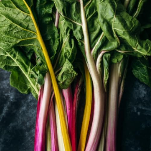 Rainbow Chard Seeds - 140 Fresh Chard Seeds - Plant and Grow Your Own Vegetables Ideal for Greenhouse, Garden, Polytunnel, Large Pots or Containers – Packed in The UK by Meldon Seeds