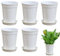 Mxshc Macetas para Plantas,Jardineras - 5 Piezas con Bandejas De Drenaje para Cultivo En Interior Terraza Balcón
