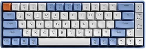 SHRGOMPIT GK65 Wireless Mechanical Keyboard RGB Backlit Three Modes Hot Swappable Full Key Customizable Gaming Keyboard PC DIY Color Gift