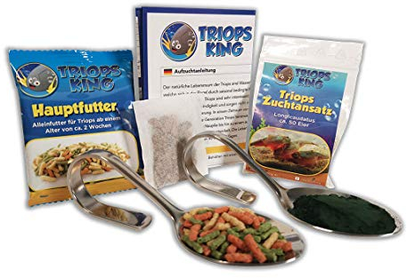 Triops Longicaudatus Urzeitkrebse Starter Set Plus mit ca 50 Urzeitkrebs-Eiern / Zysten von Triops King aus Deutschland, Anleitung zur Zucht und Jungtier-Futter und Hauptfutter - Züchte deine eigenen Urzeitkrebse bei dir zu Hause im Aquarium
