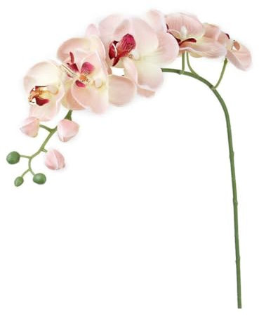 Yeory Künstliche Orchideenblume Stamm gefälschte Seide Phalaenopsis Real Touch Simulation Schmetterling Orchidee Künstliche Blumen