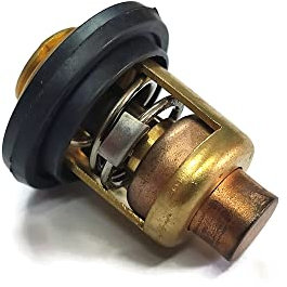 Termostato a motore 19300-W9-003 per Honda Marine BF 8 9.9 15 20 25 30 40 50 Motore a motore fuoribordo