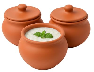 Clay Root Handmade Terracotta Clay Curd Pot with Lid | Earthen Yogurt Setting Handi | Natural Mitti Dahi Bowl for Kitchen & Serving (500ml Capacity) (3)