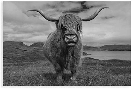 MJKO Highland Cow Yak Tier Kunst Leinwand Poster Wandkunst Dekor Bild Gemälde für Wohnzimmer Schlafzimmer Dekoration Rahmen Stil 30 x 45 cm