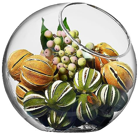 SOLAVIA Slant Bowl Planter Terrarium for Planting Home Decor H18cm D11.5cm Vase for Flowers Decorating