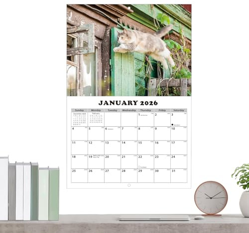 Gihioue Katzen Kalender 2026 Wandkalender,13-Monats Planer Kalender
