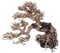 Amtra Legno Oriental Wind 7 - handgefertigte Aquariendekoration, für Süßwasseraquarien, 25X10X20 cm