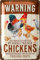 LANOLU Retro Blechschild Vorsicht Hühner, Hühner Zubehör, lustige Schilder mit Sprüchen, vintage Metallschilder Huhn Deko für den Hühnerstall, Warn- und Garten Schild als Hühner Deko, 20x30cm