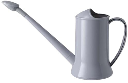 Arrosoir d'intérieur 2 L, 2 modes de pulvérisation, petit arrosoir avec bec long amovible et pomme de douche, arrosoir de jardin en plastique pour plantes d'intérieur et d'extérieur, fleur bonsaï, gri