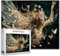 Fashion Woman Jigsaw Puzzles 1000 Stück für Erwachsene, Familien (Fairy Girl,Butterfly, Wildflower, Princess) Stücke passen perfekt zusammen 19.7''x27.6''inch Frameable Magic Puzzle Art Gift