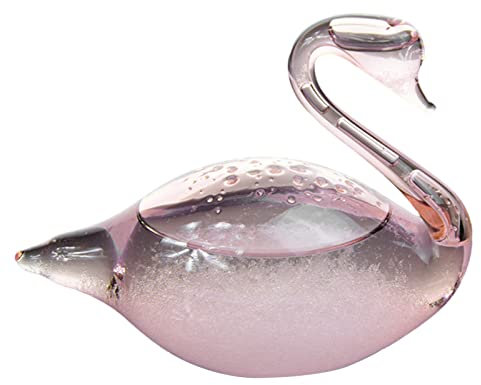 Verre De Stations Météo Bouteille De Prévisions Météo Prévisions Météo en Verre Tempête, Variété Styles, Décoration Bureau Storm Glass Barometer, Convient pour Bureau Domicile (cygne)