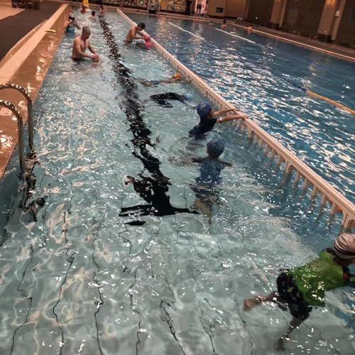 Clôture Sous Marine Pour Piscine Detachable Submerged Swimming Pool Separation, Stable Pool Safety Fencing Panel for Divide Large Pools, Deep/shallow Water Protective Fence Posts Customizable(L 2m/6.6