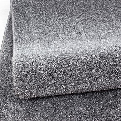 KADIMA DESIGN Wohnzimmerteppich Einfarbig Schlicht Pflegeleicht Elegant Waschbar Langlebig Strapazierfähig Rund Hellgrau 160x160 cm Schlafzimmer Wohnzimmer Schadstoffgeprüft | Main