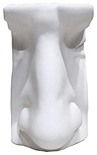 LZHLMCL Dekoartikel Skulpturen Harz Fünf Sinne Nase Ohr Imitation Gips Abstrakt Menschliches Gesicht Dekorative Ornamente Home Dekorationen Nase