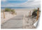 Feeby Papier Peint Intisse Passerelle Dunes Sable Herbe 368x254 cm beige Moderne Panoramique XXL Photo Mural Muraux Chambre Bureau Salle Mer Ciel Nuages
