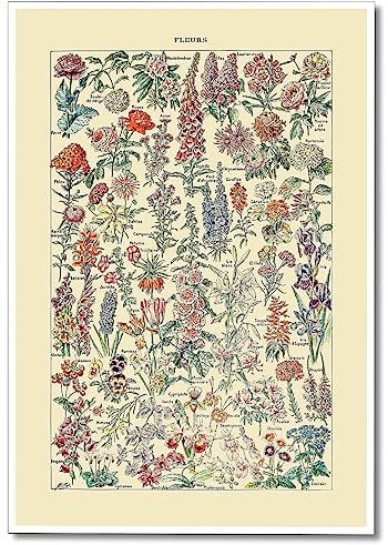 ogyormpi Vintage Flowers Poster Prints, Plant Floral Identification Canvas Wall Art Cottagecore Decor, Rustic Colorful Botanical Fleurs Nature Painting for Bedroom Room Aesthetic 16x24in Unframed