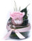 Rosen-Te-Amo | regalo festa della mamma| rosa stabilizzata vera pink profumata in vaso per fiori sferico in vetro |scatola dal design raffinato || Composizioni artigianali rosa eterna| regalo donna