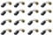 GREOHNMPAW 16 Pcs Electric Planer Carbon Brush Replacement for 12 x 8 x 5mm CB51