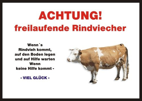 Indigos UG - Achtung/Fun Schild - Kalb, Kuh, Kühe, Rind Türschild Türschild A4 ca. 30x21 cm 3mm PVC - Türschild für Käfig, Zwinger, Haustier, Tür, Tier, Aquarium