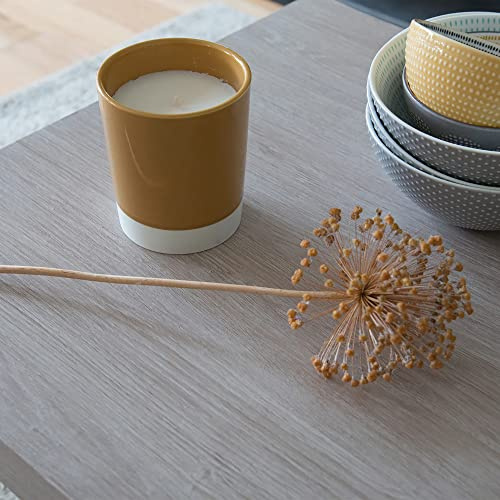 Vinyl Warehouse d-c-fix Santana Oak Lime Wood Sticky Back Furniture Wrap Vinyl (W)90cm (L) Sold by The metre